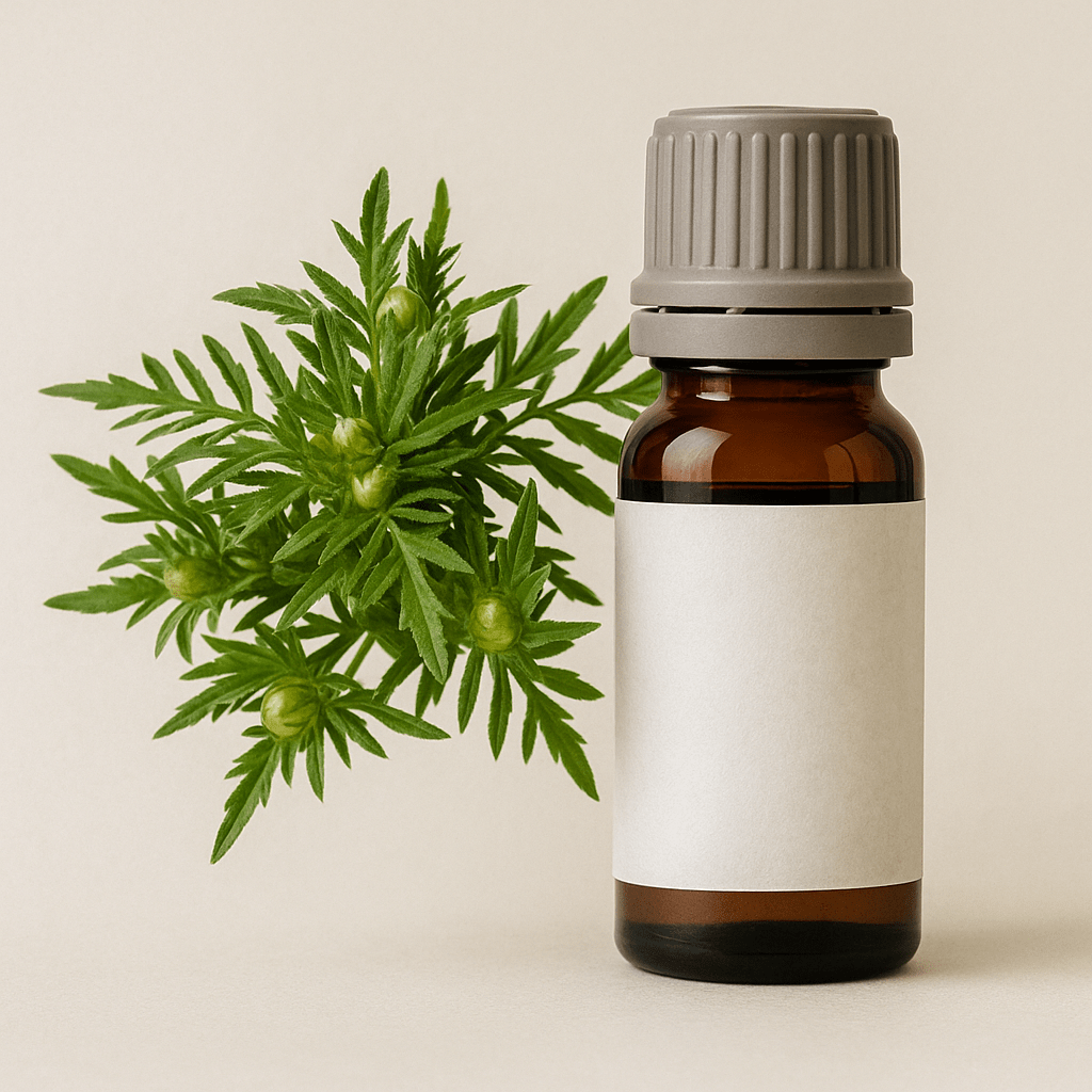 Davanam Oil - Premium quality essential oil