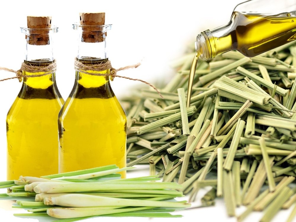 Lemongrass Oil - Premium quality essential oil